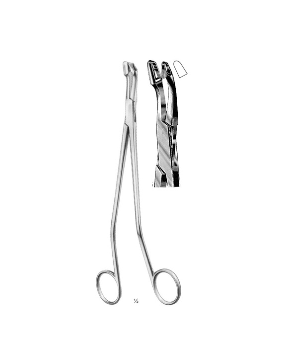 <span>Van Doren</span>