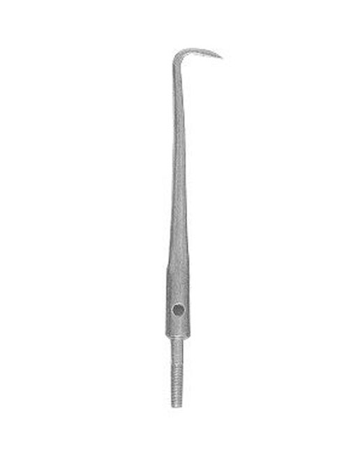 <span>Forceps</span>