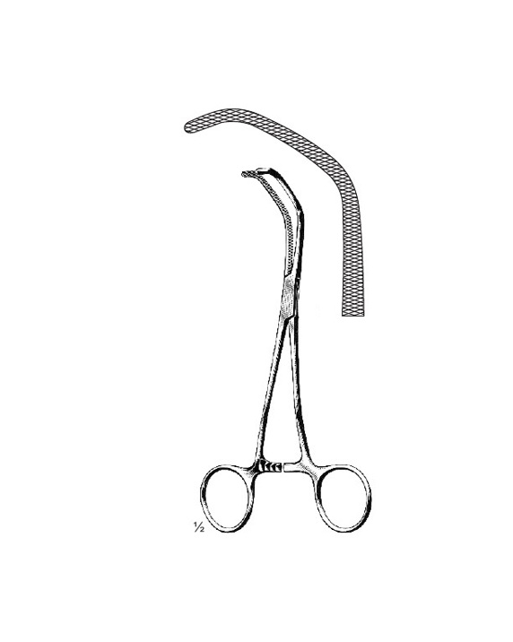 <span>Baby-Satinsky</span>