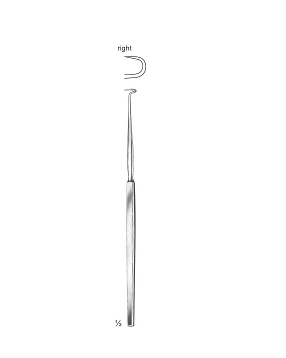 <span>Bose</span>