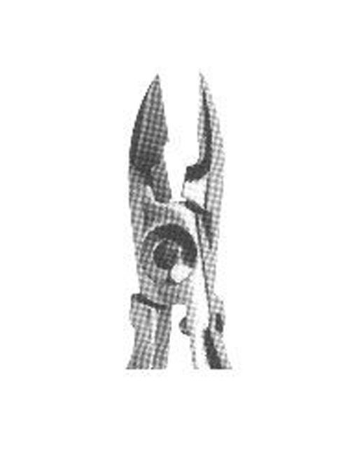 <span>  Pliers for Orthodontics</span>