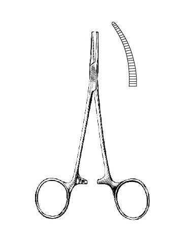 <span>Halsted-Mosquito</span>