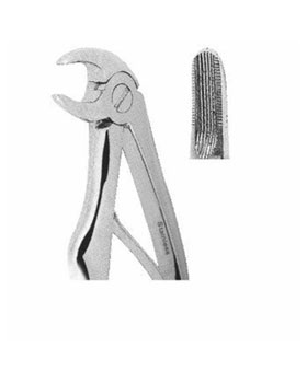 <span>Lower Incisors</span>