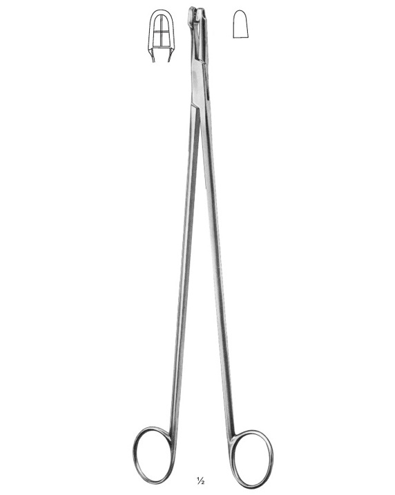 <span>Schubert</span>