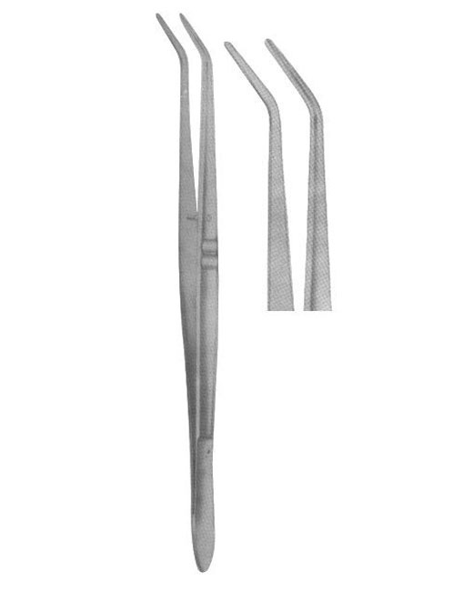 <span>Meriam Smooth </span>