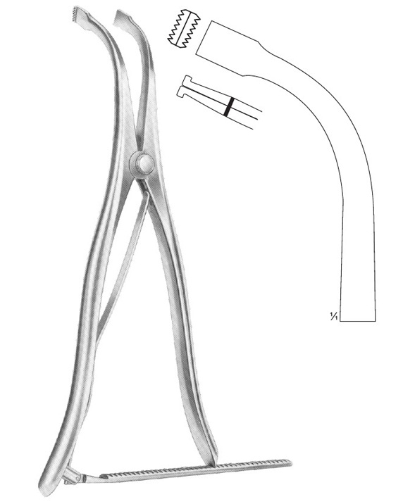 <span>Inge</span>