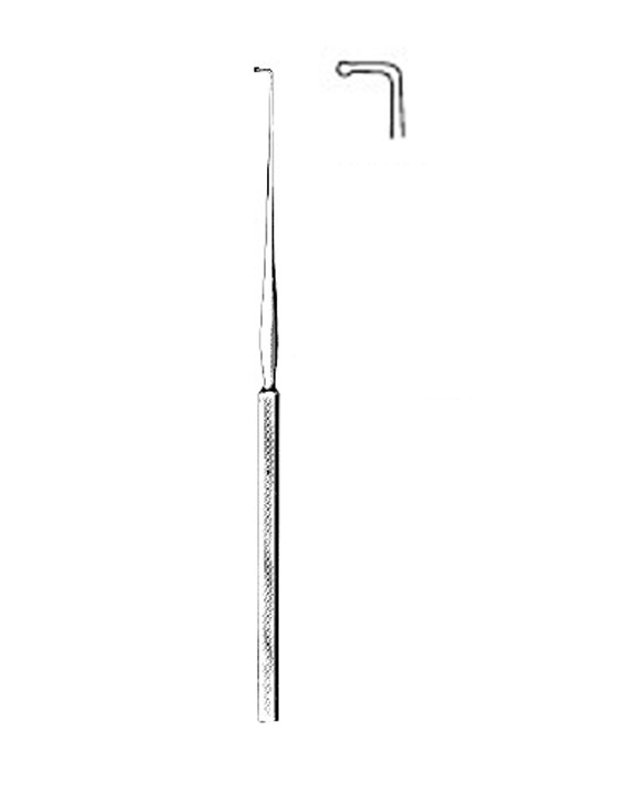 <span>Lucae</span>