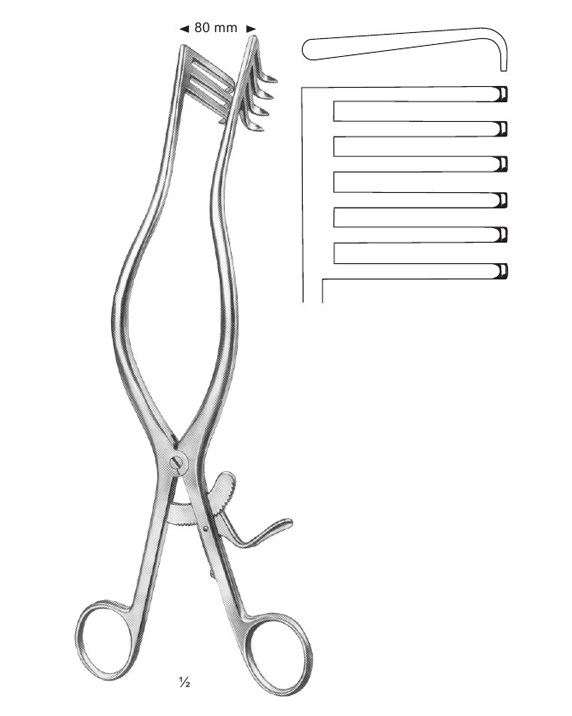 <span>Adson</span>