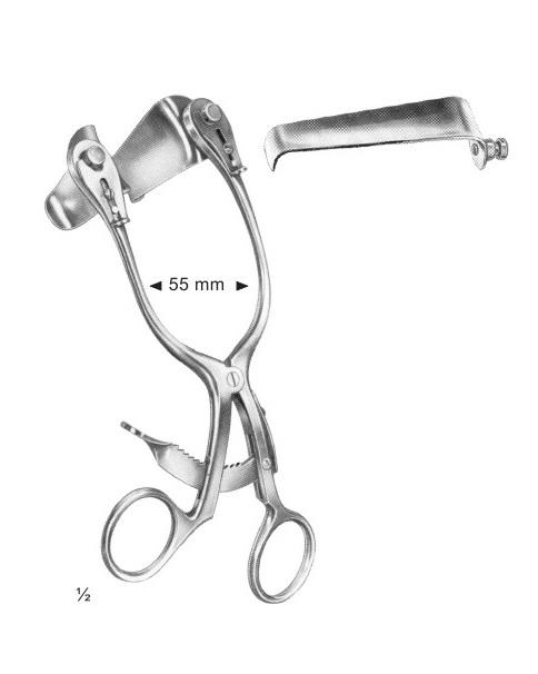 <span>Cloward</span>