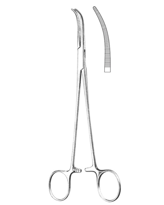 <span>Overholt</span>