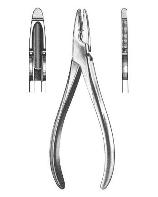 <span>Waldsachs</span>