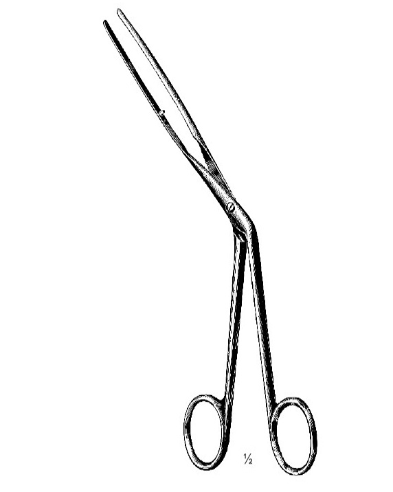 <span>Lubet-Barbon</span>