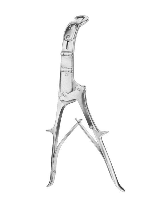 <span>Brunner</span>