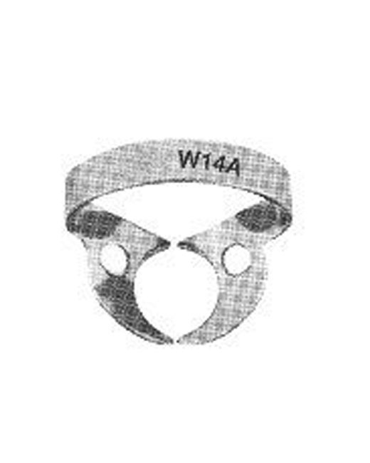<span>Wingless</span>