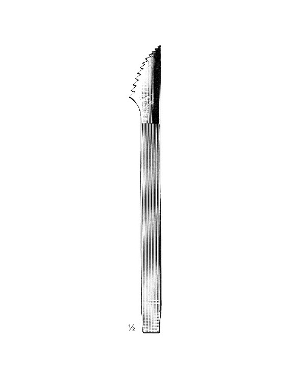 <span>Wigmore</span>