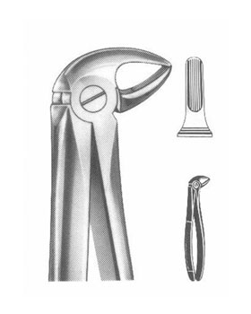 <span>Lower Roots</span>