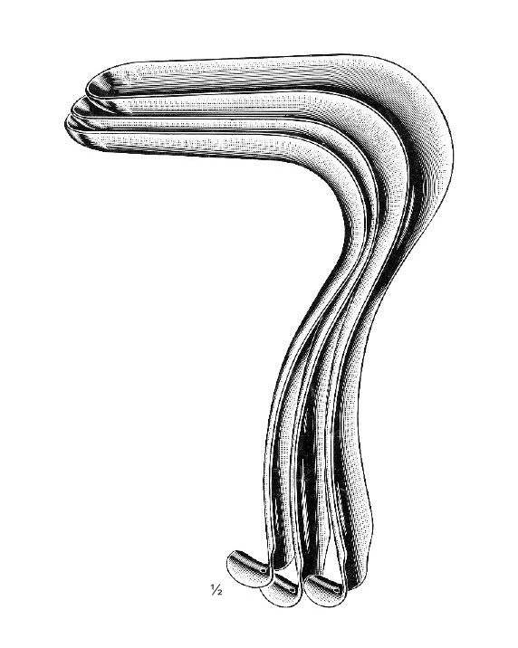 <span>Kirsteller</span>