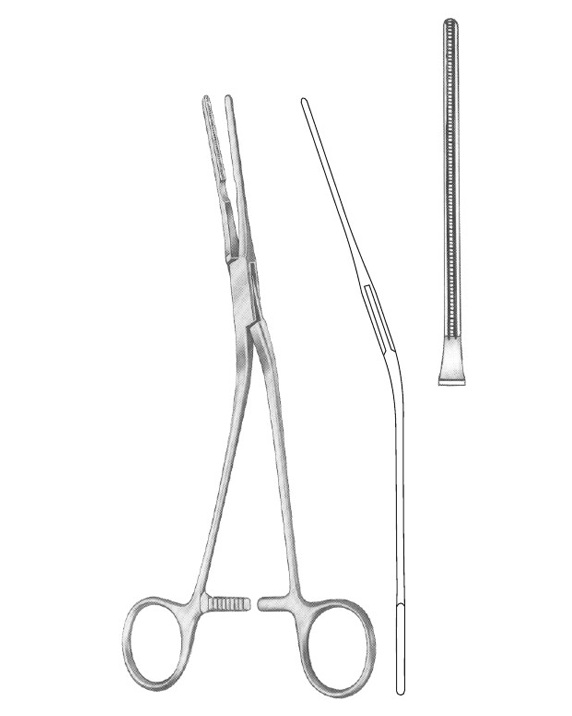 <span>Glover</span>