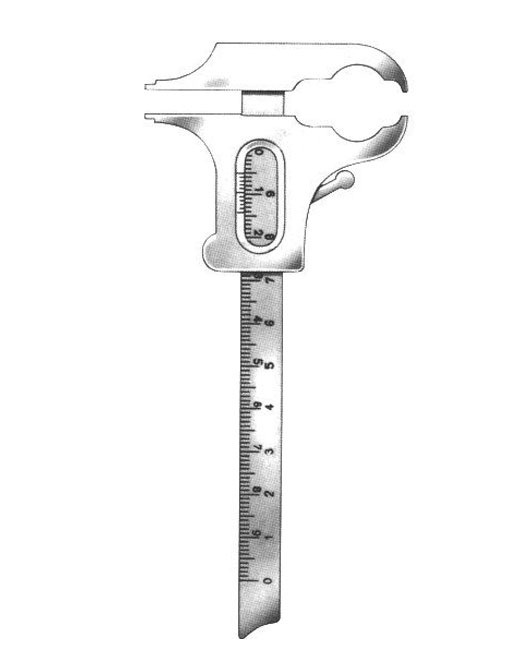 <span>Boley</span>