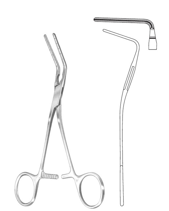 <span>Cooley</span>