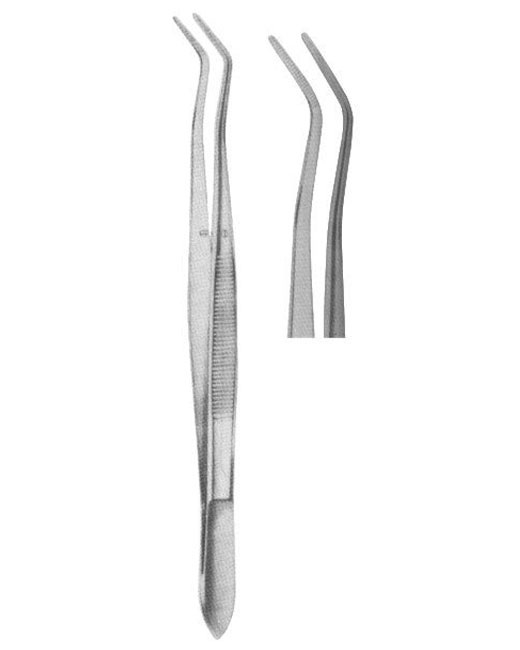 <span>College Serrated</span>