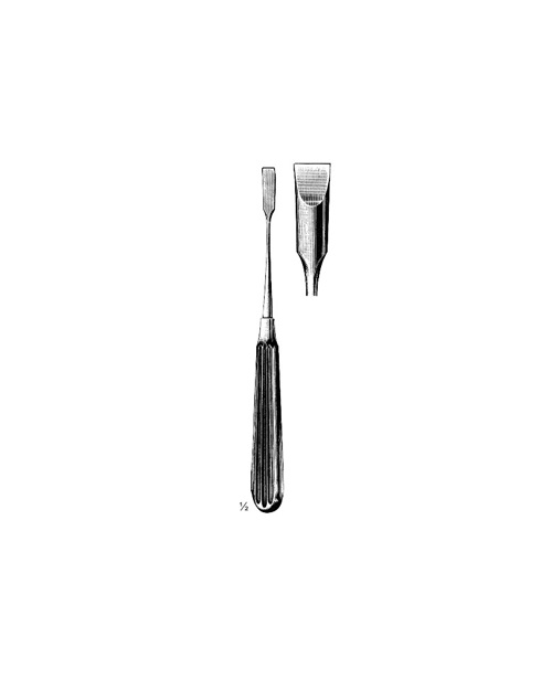 <span>Adson</span>