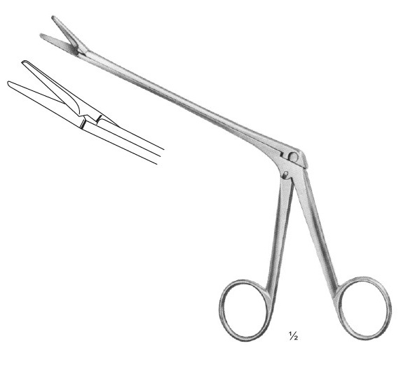<span>Olivecrona</span>