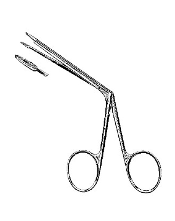 <span>Littauer</span>