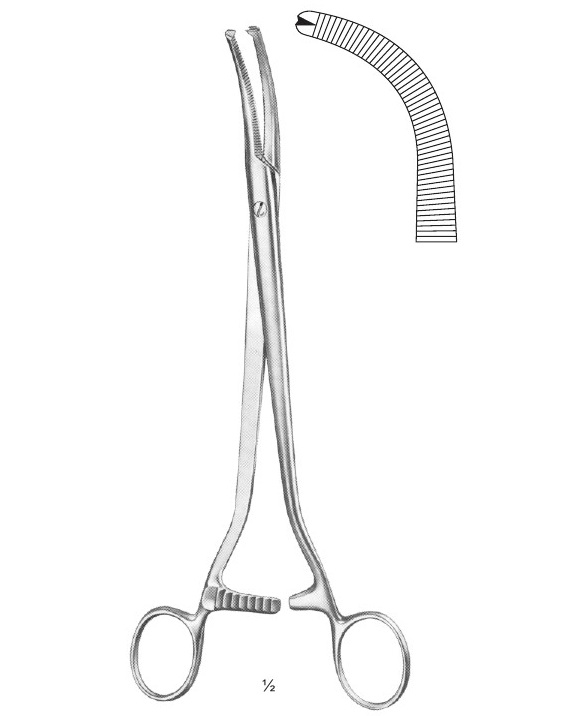 <span>Wertheim-Martin</span>