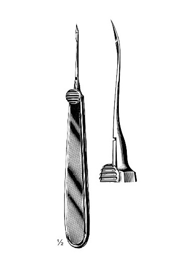 <span>Reverdin</span>