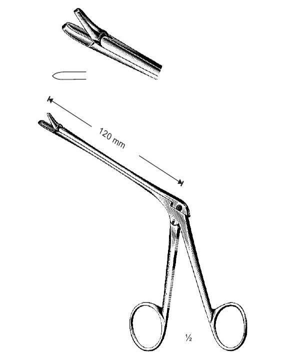 <span>Hajek</span>