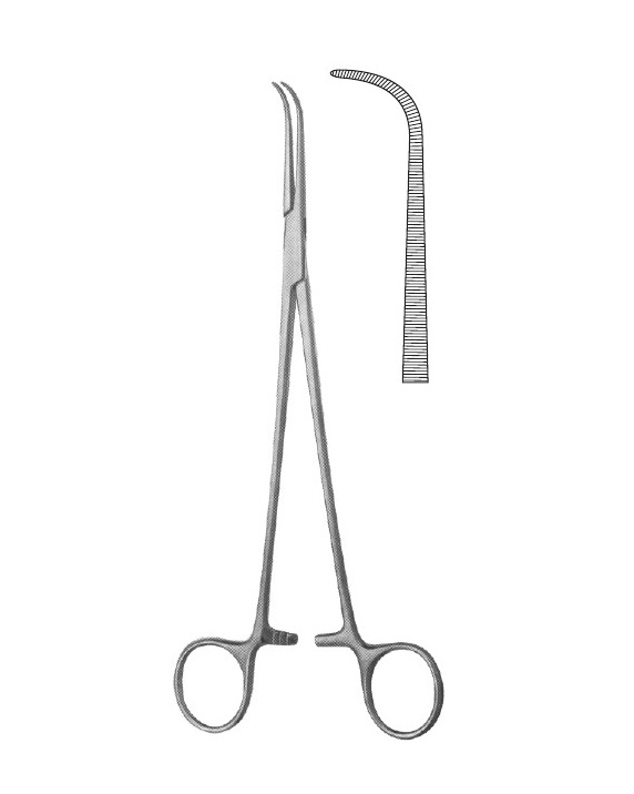 <span>Gemini (DeBakey-Mixter)</span>