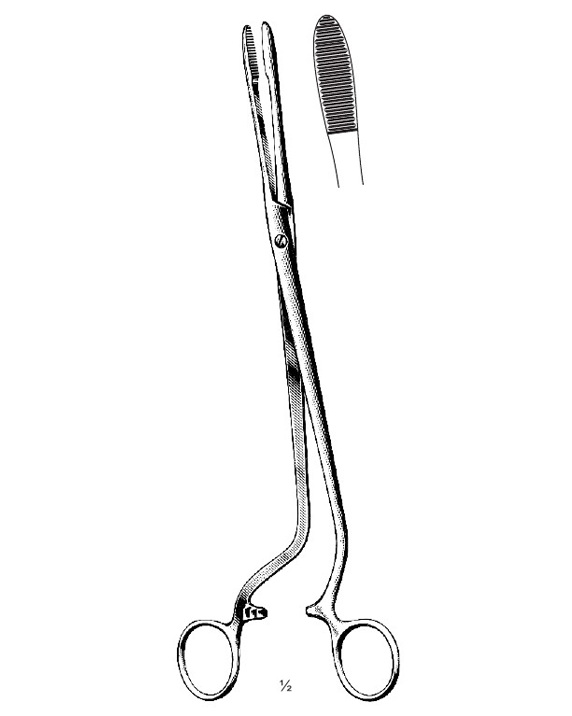 <span>Cheron</span>
