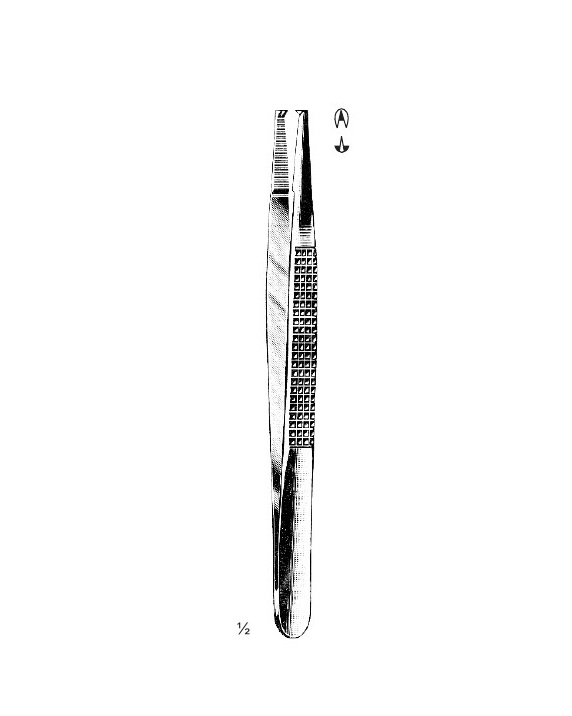 <span>Bonney</span>
