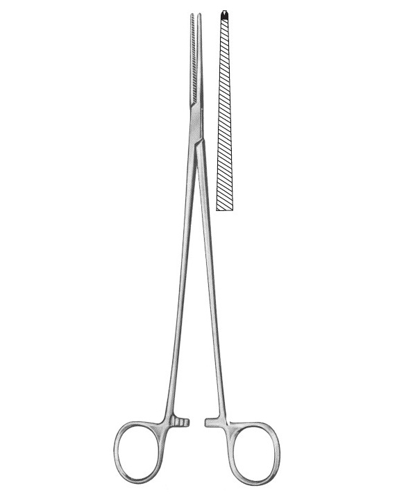 <span>Bengolea</span>