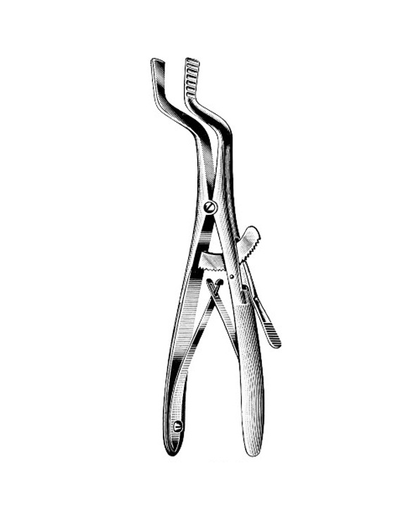<span>Roser-Konig</span>