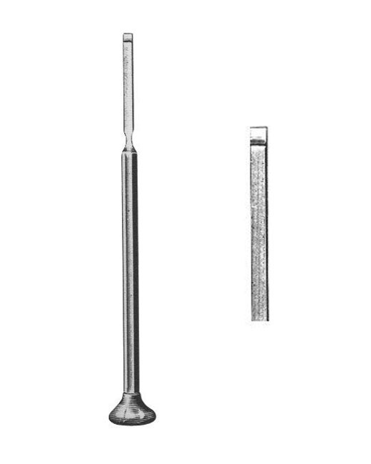 <span>Buckley</span>