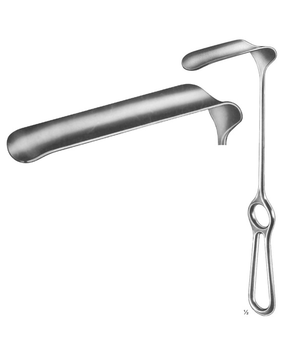 <span>Hösel</span>