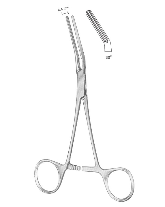 <span>Dardik</span>
