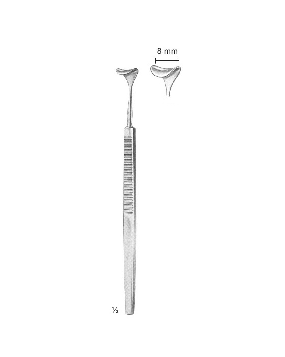 <span>Desmarres</span>