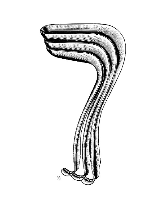 <span>Kristeller</span>