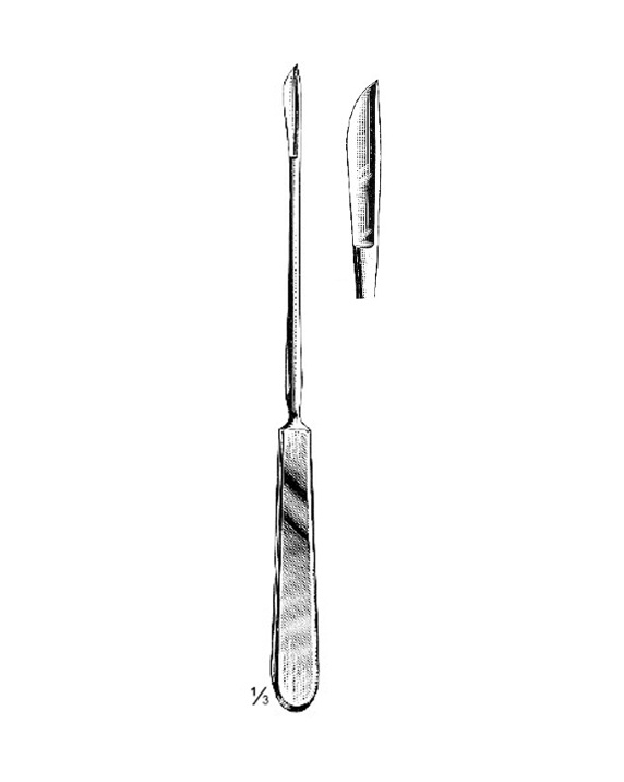 <span>Simon</span>