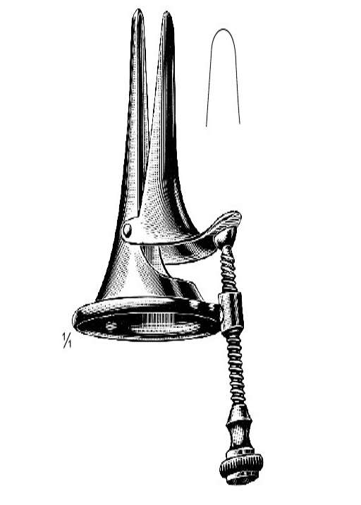 <span>Voltolini</span>