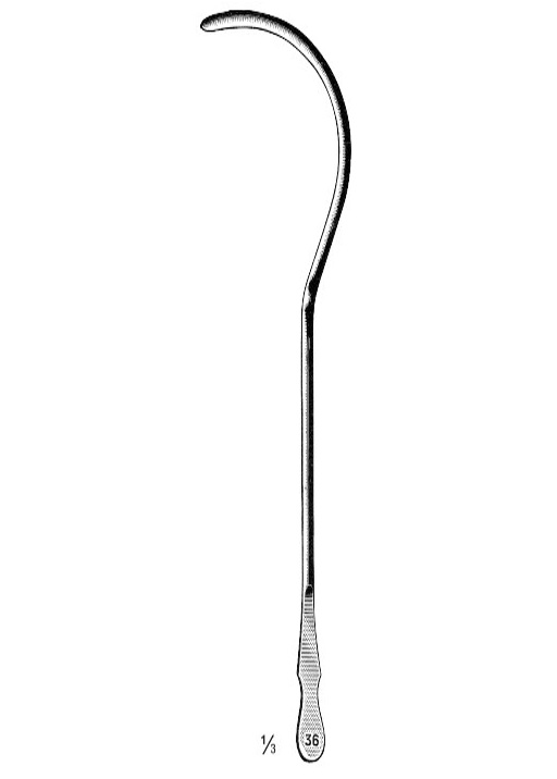 <span>Guyon</span>