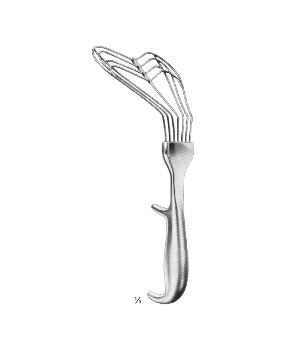 <span>Allison</span>