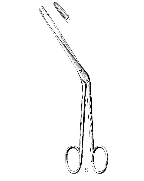 <span>Hartmann</span>