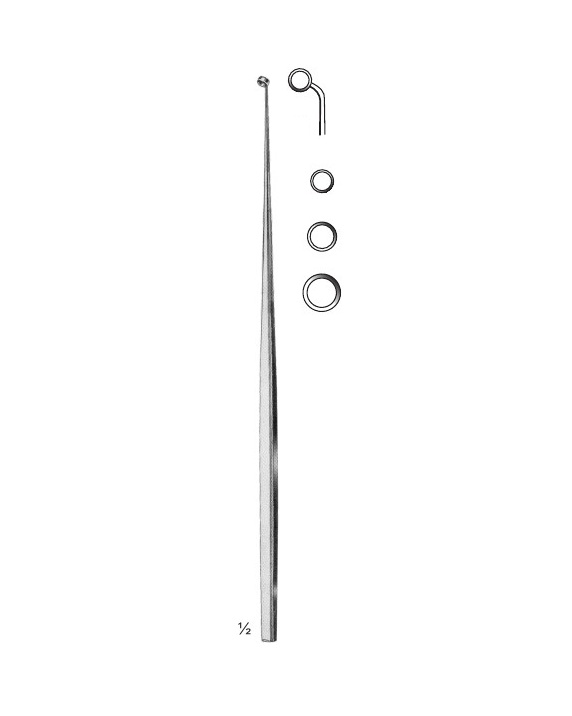 <span>Ray</span>
