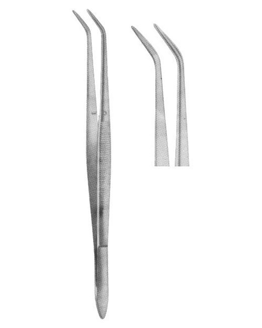 <span>Meriam Serrated</span>