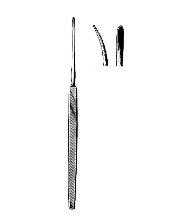 <span>Lempert</span>