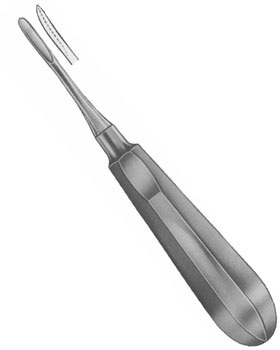 <span>Cryer</span>